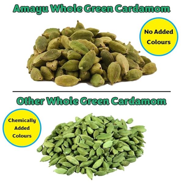 AMAYU Premium Whole Green Cardamom | Hari Elaichi| 100 GMS (100 g) - Image 2