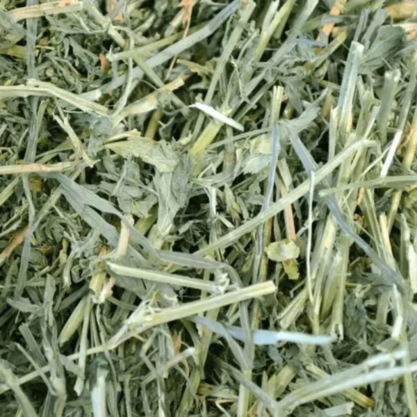 OXBOW Alfalfa Hay 0.425gm - Image 3