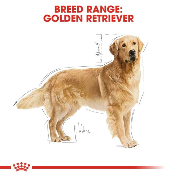 Royal Canin Golden Retriever Adult Dry Dog Food - Image 8