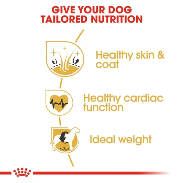 Royal Canin Golden Retriever Adult Dry Dog Food - Image 4