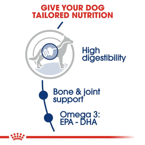 Royal Canin Maxi Adult Dry Dog Food - Image 2