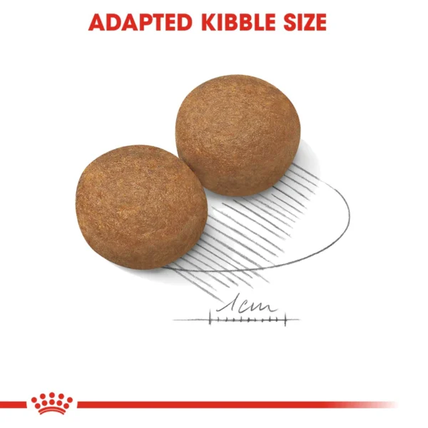 Royal Canin Maxi Adult Dry Dog Food - Image 5