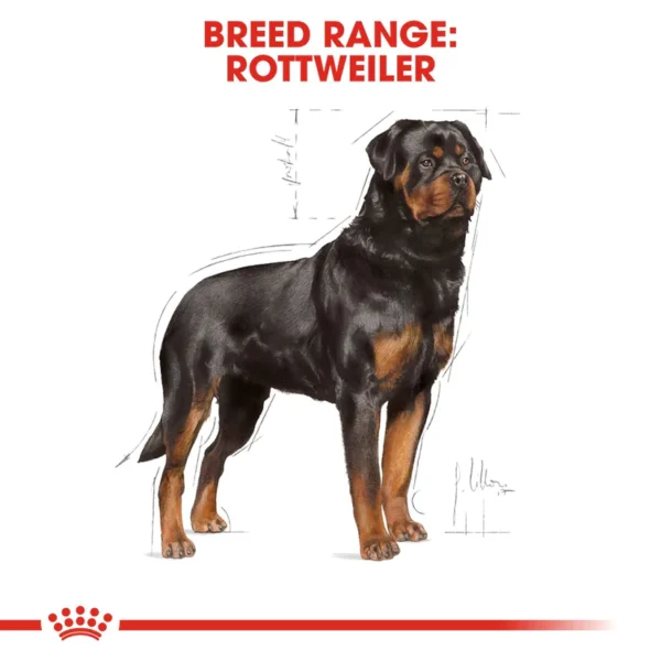 Royal Canin Rottweiler Adult Dry Dog Food - Image 7