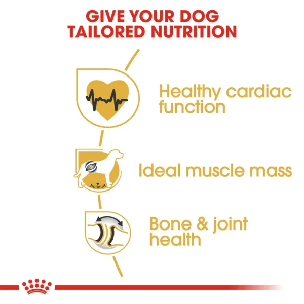 Royal Canin Rottweiler Adult Dry Dog Food - Image 3