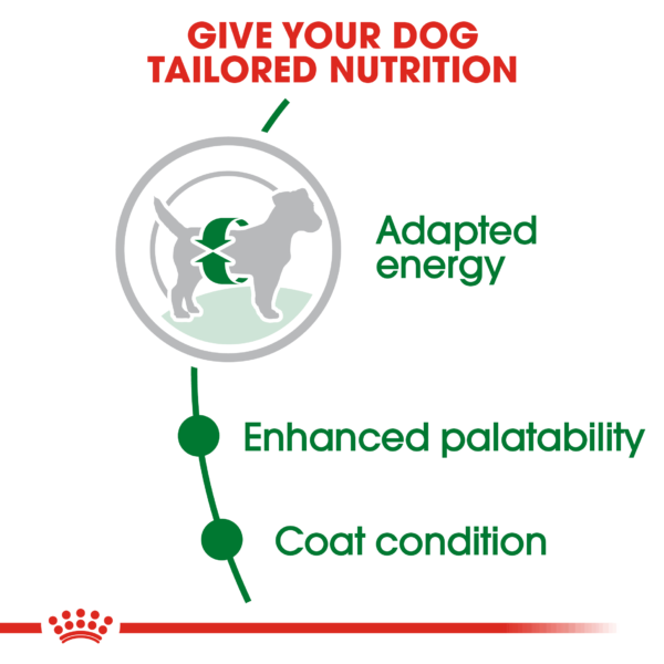 Royal Canin Mini Adult Dog Dry Food - Image 2
