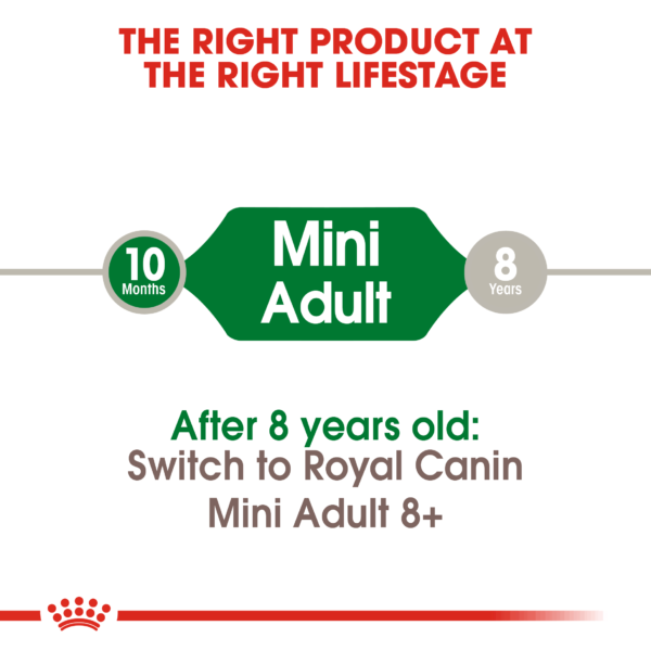 Royal Canin Mini Adult Dog Dry Food - Image 3