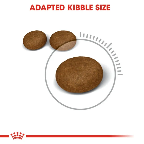 Royal Canin Hair & Skin Care Dry Cat Food 400 g - Image 2