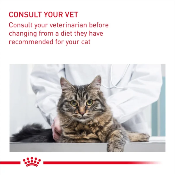 Royal Canin Hair & Skin Care Dry Cat Food 400 g - Image 3