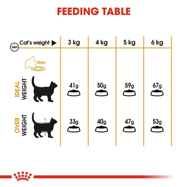 Royal Canin Hair & Skin Care Dry Cat Food 400 g - Image 5