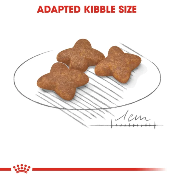 Royal Canin Mini Adult Dog Dry Food - Image 5