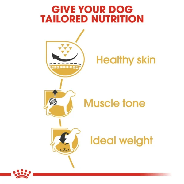 Royal Canin Pug Adult Dog Food 500g - Image 4