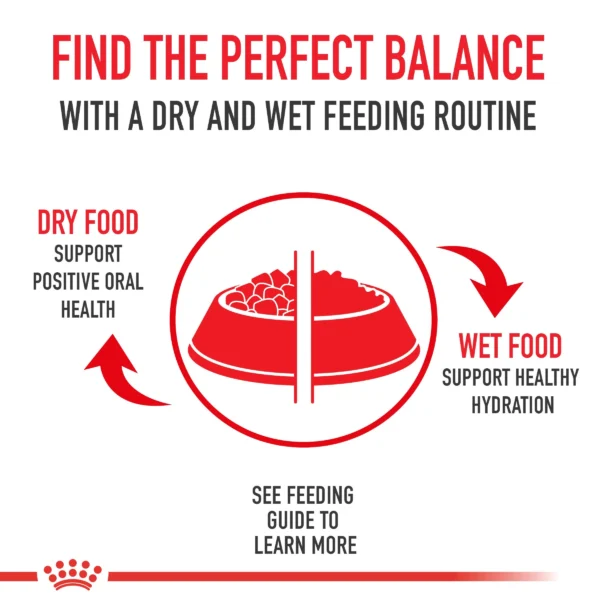 Royal Canin Pug Adult Dog Food 500g - Image 7