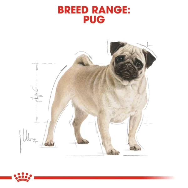 Royal Canin Pug Adult Dog Food 500g - Image 10