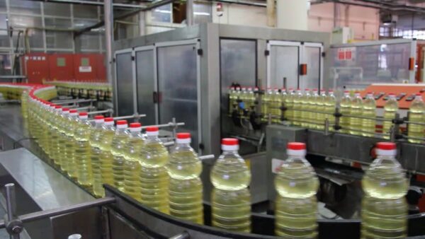 SUNFLOWER OIL